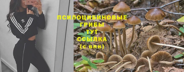COCAINE Бородино