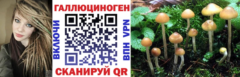 Псилоцибиновые грибы Psilocybe  Кирсанов 
